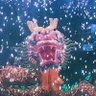 จิมมี่ profil fotoğrafı