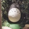 ととろしん's profile picture