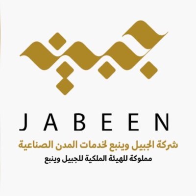 JabeenSa's profile picture