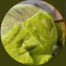 sゆうひ profil fotoğrafı