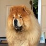 Toshka 的头像