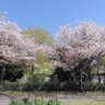 のっち予備 的头像