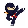 Stealthy_Ninja profil fotoğrafı