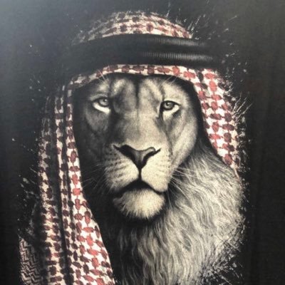 Matador_X6's profile picture