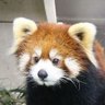 YUTA☆KATCHY🐹's profile picture