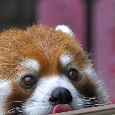 KARIN's profile picture