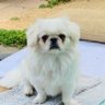 Constance profil fotoğrafı