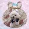 ♡paffypearl♡ profil fotoğrafı