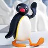 Фото профиля Canadian penguin.