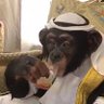 GBubbaSmith profil fotoğrafı