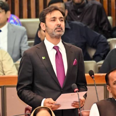 SyedMusaGillani's profile picture
