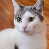 Hugo's profile picture