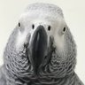 vetnem's profile picture