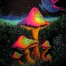Фото профиля _