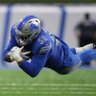 LFDU (Lions fan down under)'s profile picture