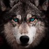 Gronk 87's profile picture