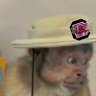 Dylan Gocher's profile picture