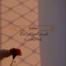 Eslam Samy profil fotoğrafı