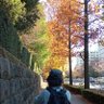 pigもん profil fotoğrafı