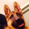 Profilbild von Nichole