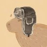 capybarainushanka 的头像