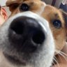 我FFF……佛慈悲's profile picture