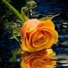 Profilbild von Mohamed Ahmad