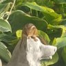 MaggieAnnie4's profile picture