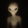 Profilbild von fg_tmp