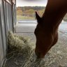 Фото профиля Pat