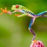 Tweet Fu profil fotoğrafı