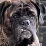 Profilbild von lola