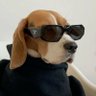 Profilbild von kanda kachori