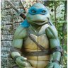 Profilbild von Franklin