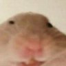 Profilbild von HHM7156896468754325789