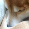 那園曽 氏規's profile picture