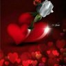 عادل عمر's profile picture