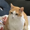 ベアベアーs's profile picture