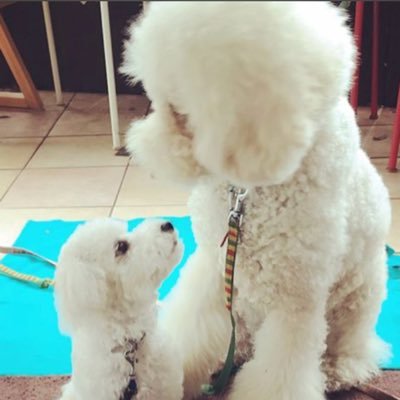 ByPuly's profile picture