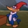 geraldo🦊 profil fotoğrafı