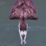 Serhat Bahadır's profile picture