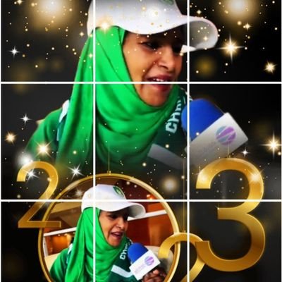 swsynbd's profile picture