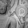 sudheer amere's profile picture
