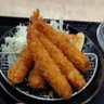 はるちゃん-2 profil fotoğrafı