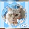 ハッピーハヤト's profile picture