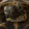 Profilbild von Mariokishek
