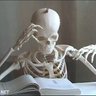 Profilbild von ابوشامخ الحميري/////