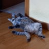 I profil fotoğrafı