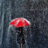 bent خaمis El Sha3rawy🦋☔️ 的头像