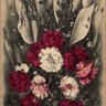 Fleur du Mal 的头像